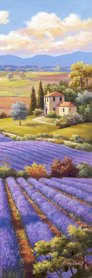 Fields Of Lavender I