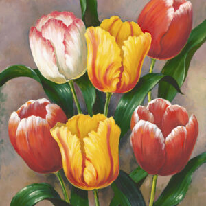 Spring Tulips