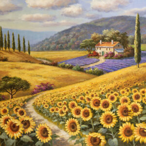 Tuscany Sunflowers